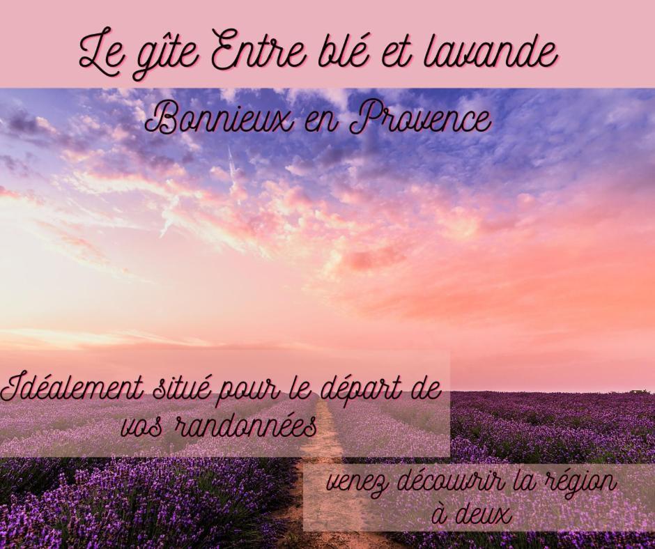 Entre Ble Et Lavande Apartment Bonnieux Ngoại thất bức ảnh